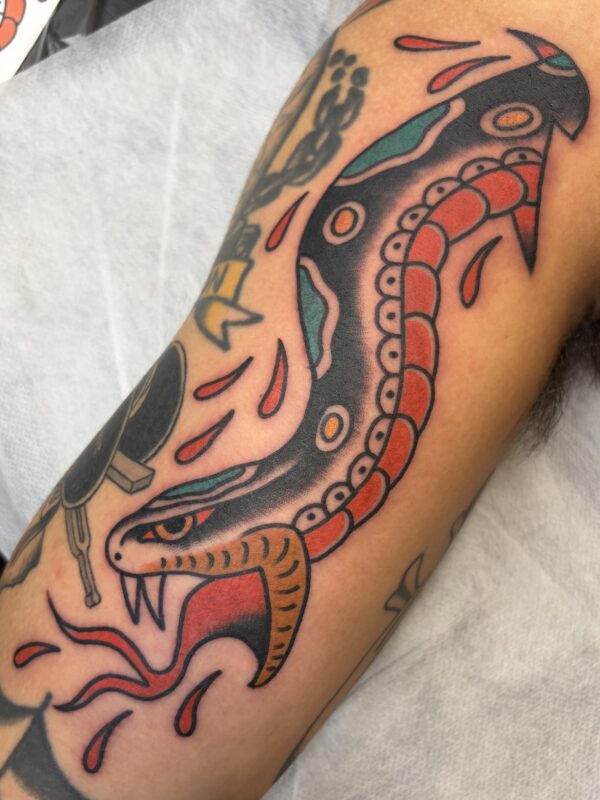 Snake